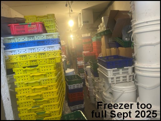 FREEZER FULL