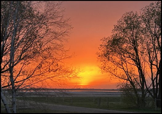 sunset